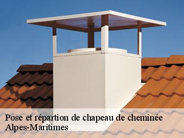 Pose et répartion de chapeau de cheminée Alpes-Maritimes 