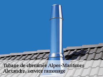 Tubage de cheminée 06 Alpes-Maritimes Compagnons Alexandre Ramoneur