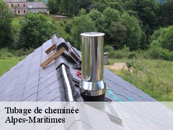 Tubage de cheminée Alpes-Maritimes