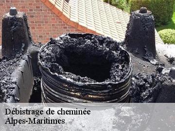 Débistrage de cheminée Alpes-Maritimes 