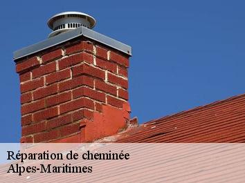 Réparation de cheminée Alpes-Maritimes