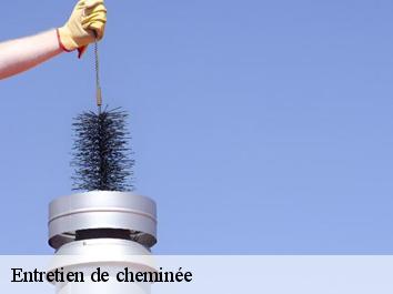 Entretien de cheminée