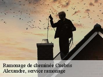 Ramonage de cheminée cuebris-06910 Compagnons Alexandre Ramoneur