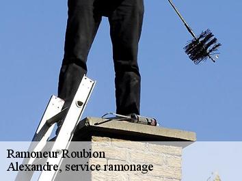 Ramoneur roubion-06420 Alexandre, service ramonage
