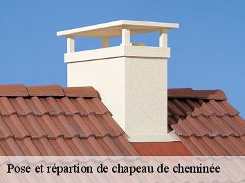 Pose et répartion de chapeau de cheminée