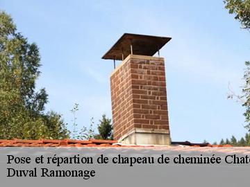 Pose et répartion de chapeau de cheminée  chateauneuf-villevieille-06390 Duval Ramonage 