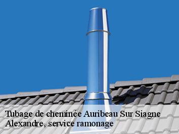 Tubage de cheminée auribeau-sur-siagne-06810 Compagnons Alexandre Ramoneur