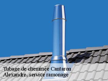 Tubage de cheminée cantaron-06340 Compagnons Alexandre Ramoneur