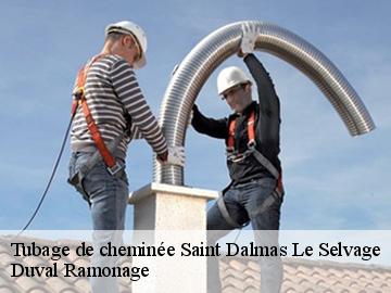 Tubage de cheminée  saint-dalmas-le-selvage-06660 Duval Ramonage 