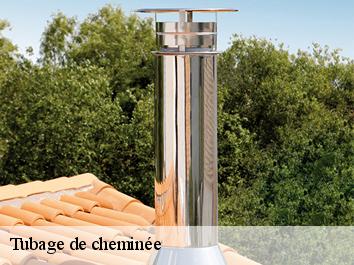 Tubage de cheminée