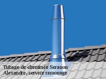 Tubage de cheminée seranon-06750 Compagnons Alexandre Ramoneur