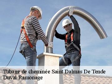 Tubage de cheminée  saint-dalmas-de-tende-06430 Duval Ramonage 