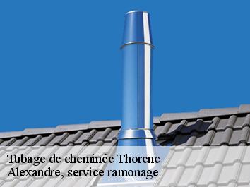 Tubage de cheminée thorenc-06750