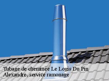 Tubage de cheminée le-logis-du-pin-06750 Alexandre, service ramonage