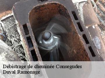 Débistrage de cheminée  consegudes-06510 Duval Ramonage 
