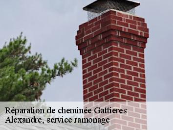 Réparation de cheminée gattieres-06510 Compagnons Alexandre Ramoneur