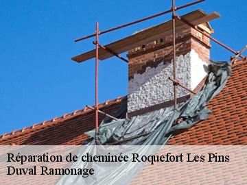 Réparation de cheminée  roquefort-les-pins-06330 Duval Ramonage 