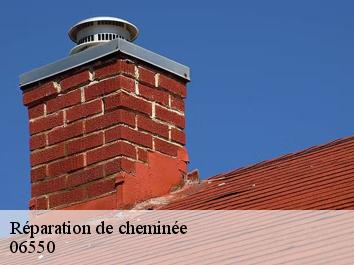 Réparation de cheminée 06550