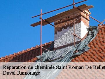 Réparation de cheminée  saint-roman-de-bellet-06200 Compagnons Alexandre Ramoneur