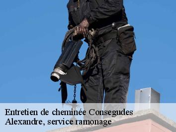 Entretien de cheminée consegudes-06510 Compagnons Alexandre Ramoneur