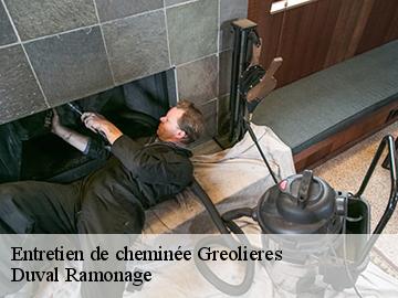 Entretien de cheminée  greolieres-06620 Duval Ramonage 