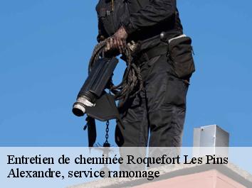 Entretien de cheminée roquefort-les-pins-06330 Alexandre, service ramonage